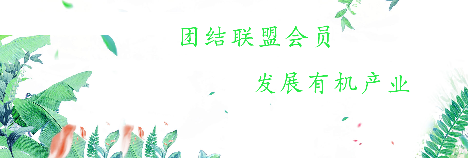 團(tuán)結(jié)聯(lián)盟會(huì)員，發(fā)展有機(jī)產(chǎn)業(yè)